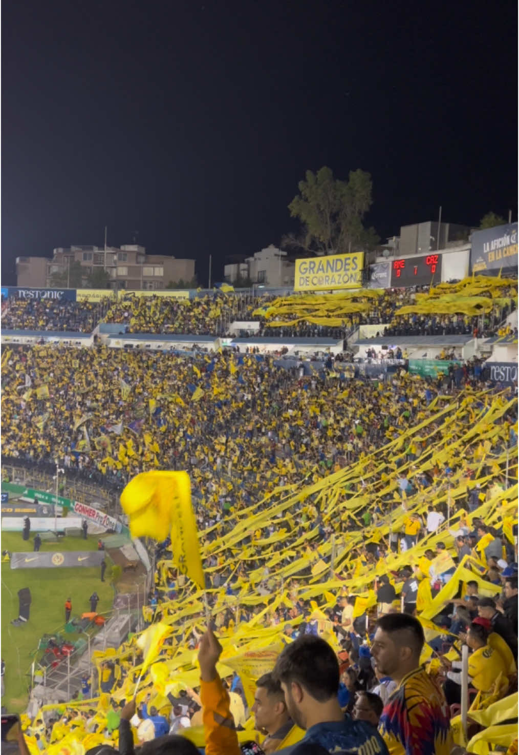 El color de la semifinal 🦅💛 #clubamerica #bicampeones #ligamx #monumental #azulcrema #america #futbol #ligamx #apertura2024 