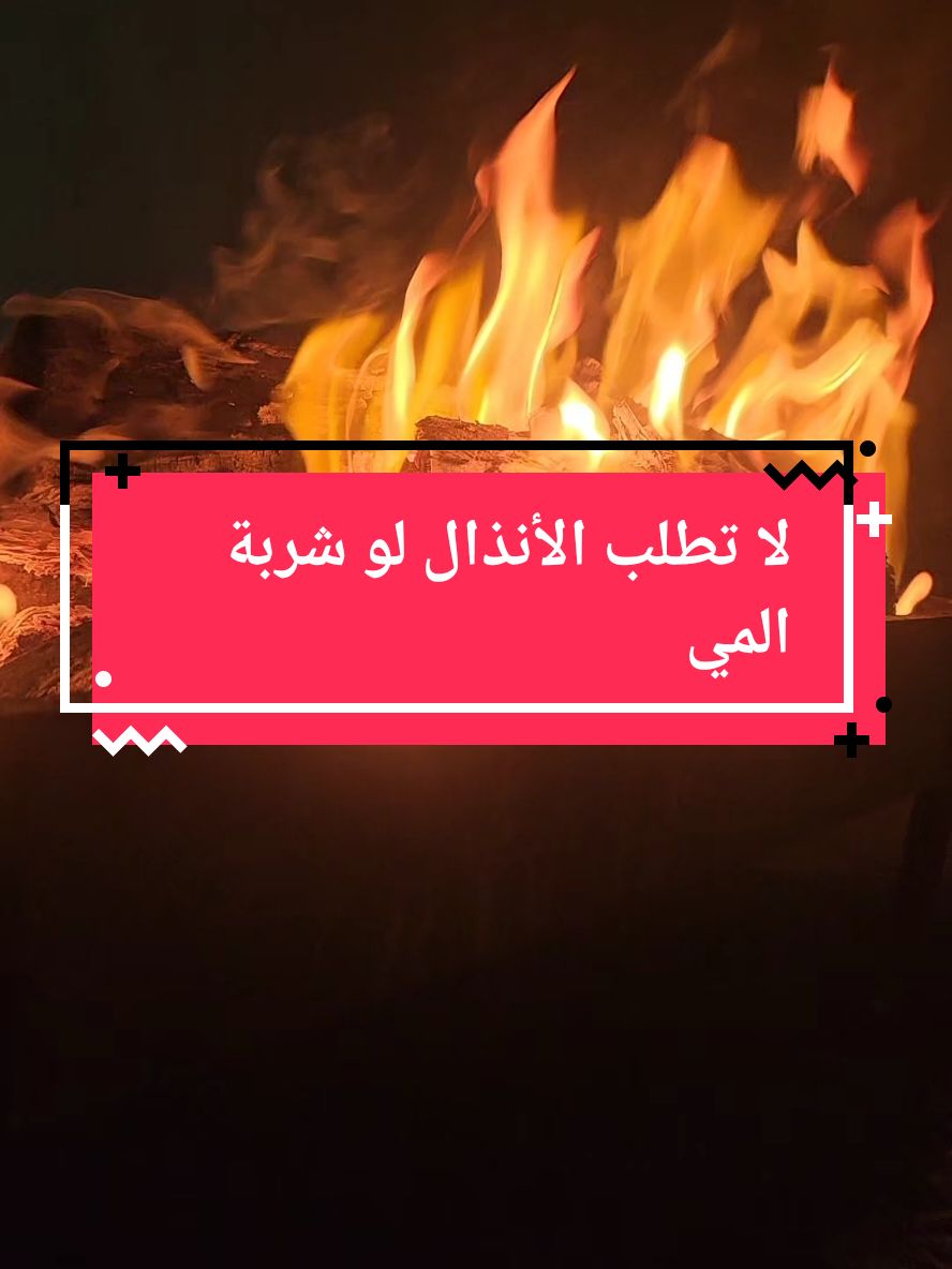 قصيده عن الأنذال لا تطلب الأنذال لو شربة المي #قصيد #شعر #ابيات_شعر #قصيده_شعر_بوح_كلام_من_ذهب #قصيده_شعر #ذواقين 