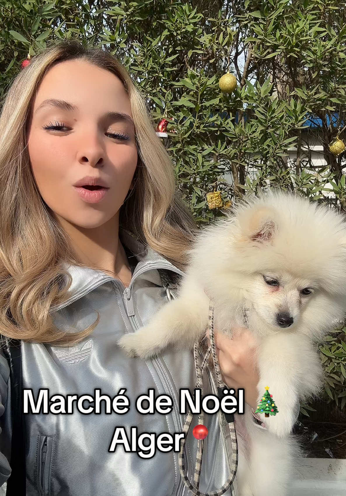 Joyeux Noel 🎄🎄 #pourtoi #christmas #algeria #fyp #🇩🇿 #foryoupage❤️❤️ #Vlog #mmf 