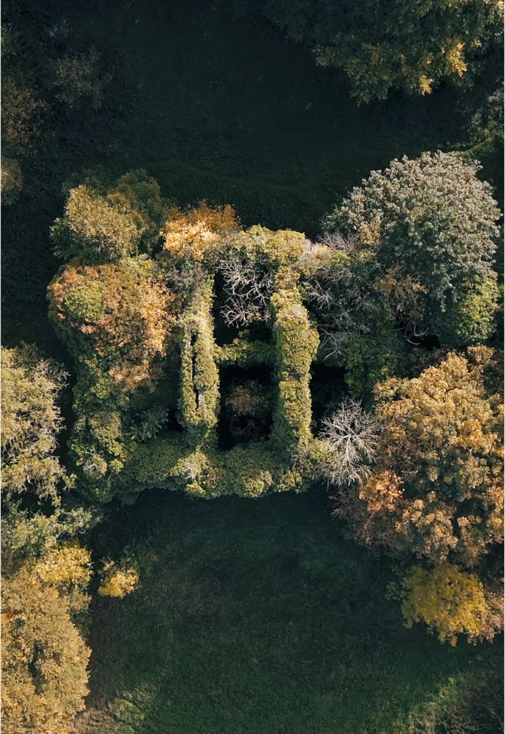 Thought to be long gone… #countryhouse #losthouse #mansion #forgotten #abandonedmansion #forgottenhouse #irishhistory #historyofireland #lissenhall #tipperary #nenagh #thebighouse #ruin #derelict #discovery #exciting #exploring #archaeology #irish #ireland #mystery