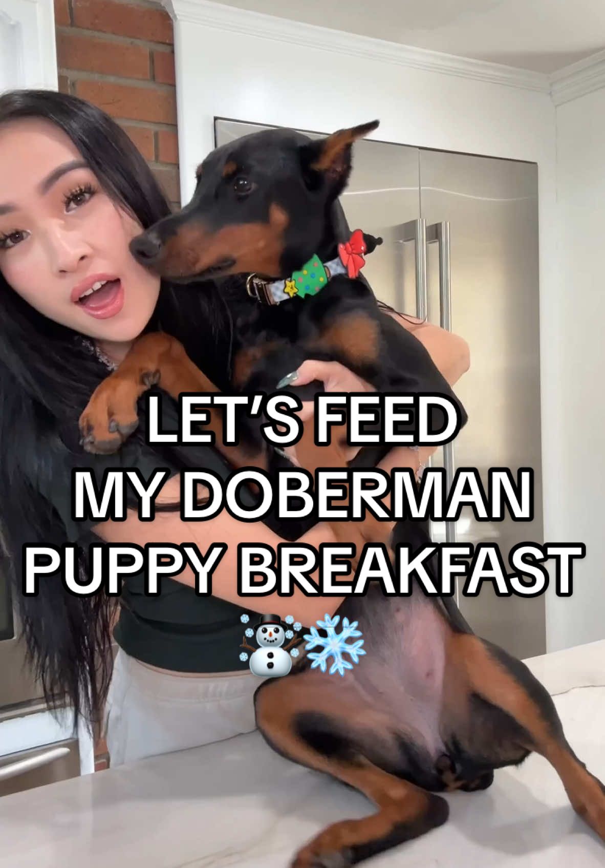 Let’s feed my Doberman puppy using our new Limited Edition Holiday Boxes❄️☃️🩵 #dogfeedingroutine #dogfoodrecipe #doberman 