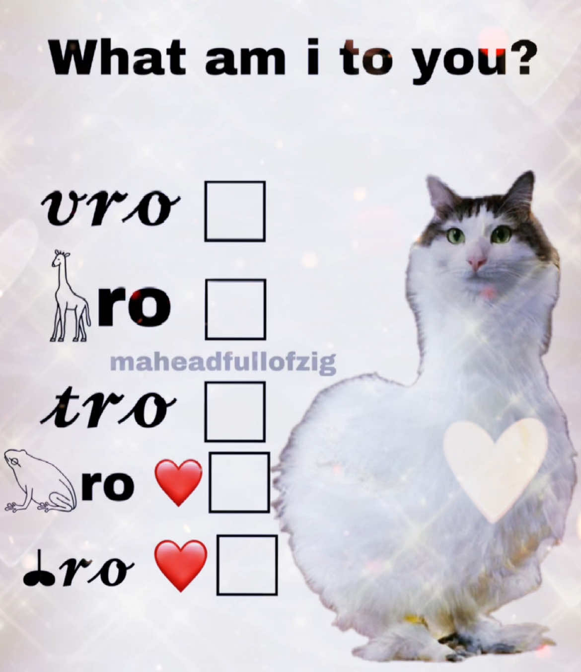 what am i to you?❤️ #maheadfullofzig #literallyme #real #rizzler #meowl #freakbob #sigma #cooked #fy #vro #lockedin #lore #fyp #fypage #brainrot #relatable #peak #memestiktok #ifwu #fwu 