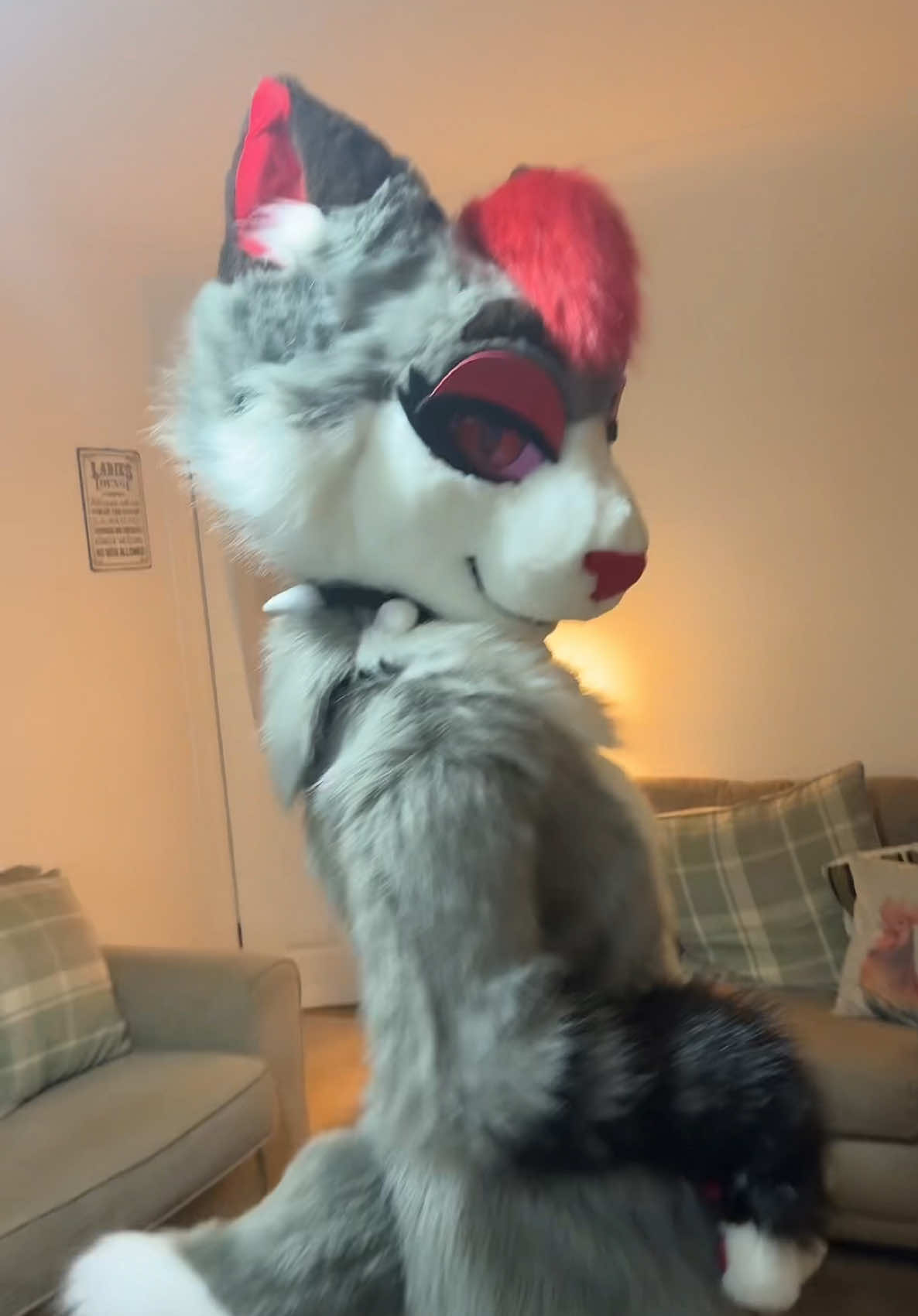 Dod you hear the news? This cats a fullsuiter now!! Big thanks to @Haunted.suiter// 🐈‍⬛🐕LFM for making hee bidy and filming this video! <3 #furry #fursuit #fursuiter #furryfandom #fy #fyp #foryoupage #foryou 