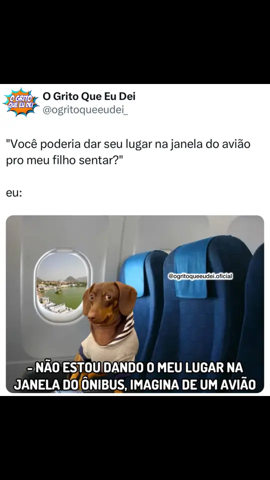 Vocês trocariam? 👀 📸 reprodução: internet  #janela #aviao #janeladoaviao #humor #memesbr #memesbrasil 