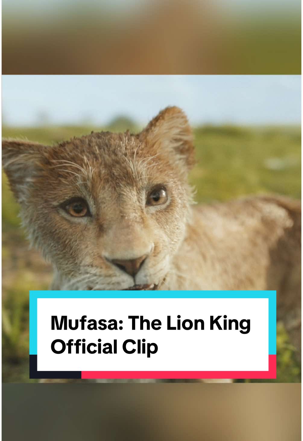 🎶I've Always Wanted A Brother🎶 on repeat 🔂 Experience #Mufasa: The Lion King in theaters December 20 and get tickets now!