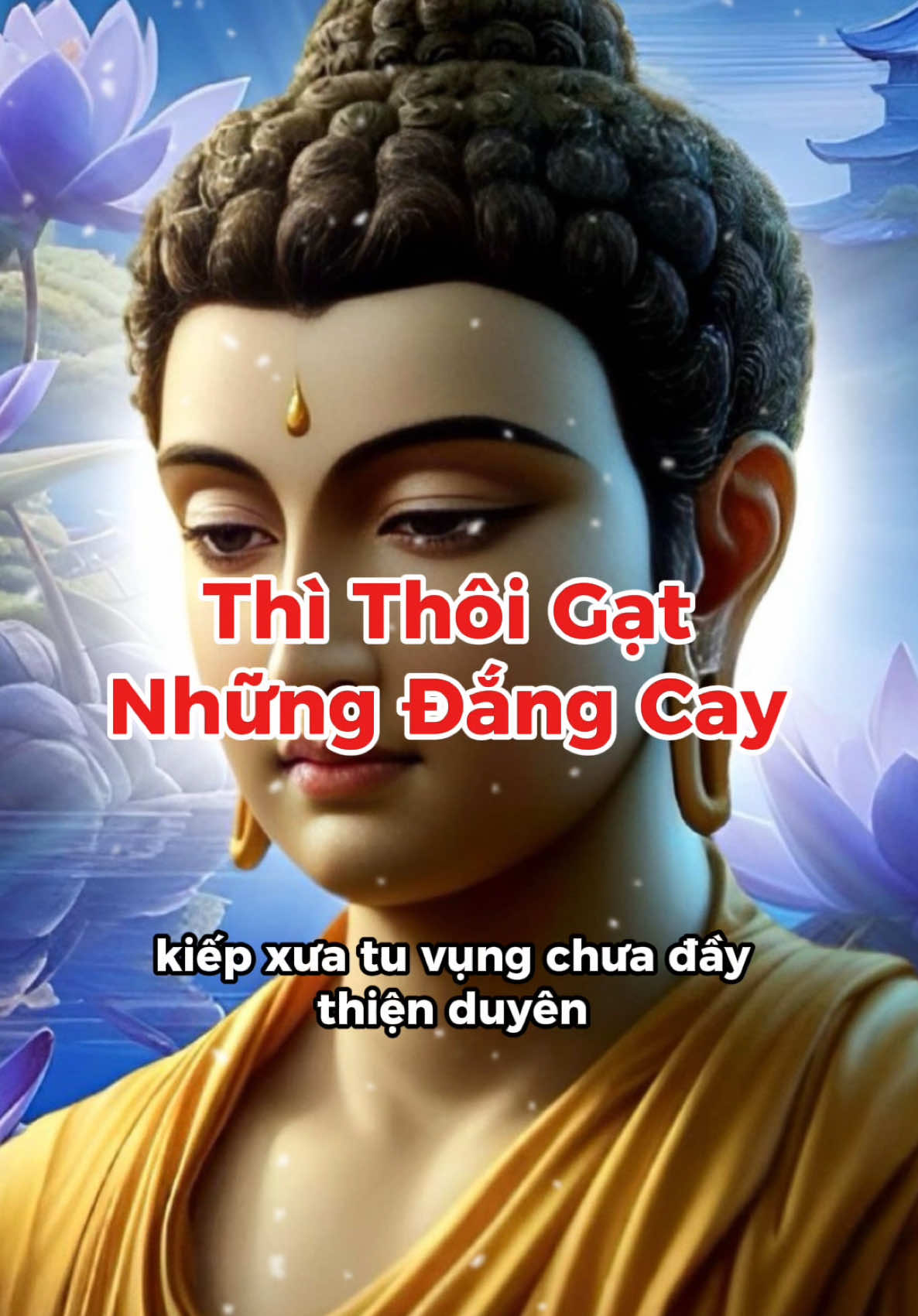 #Thì Thôi Gạt Những Đắng Cay #Tinhtamhawaii 