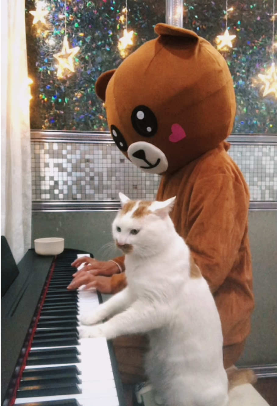 Beethoven invites his mother to have a wedding together #cat #catsoftiktok #wedding #piano #beethoven 