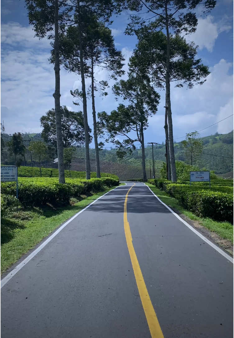 Nih buat prank, POV kalian jalan2 di perkebunan teh nusantara rancawalini rancabali ciwidey bandung #prankjalanjalan #prank #jalanjalan #prankvideo #prankvideos #foryou #foryoupage #fyp #bandung #bandunghits #bandungkotakembang #bandunginfo #bandungbanget #bandungaesthetic #ciwidey #ciwideybandung #ciwideyrancabali #kebunteh 