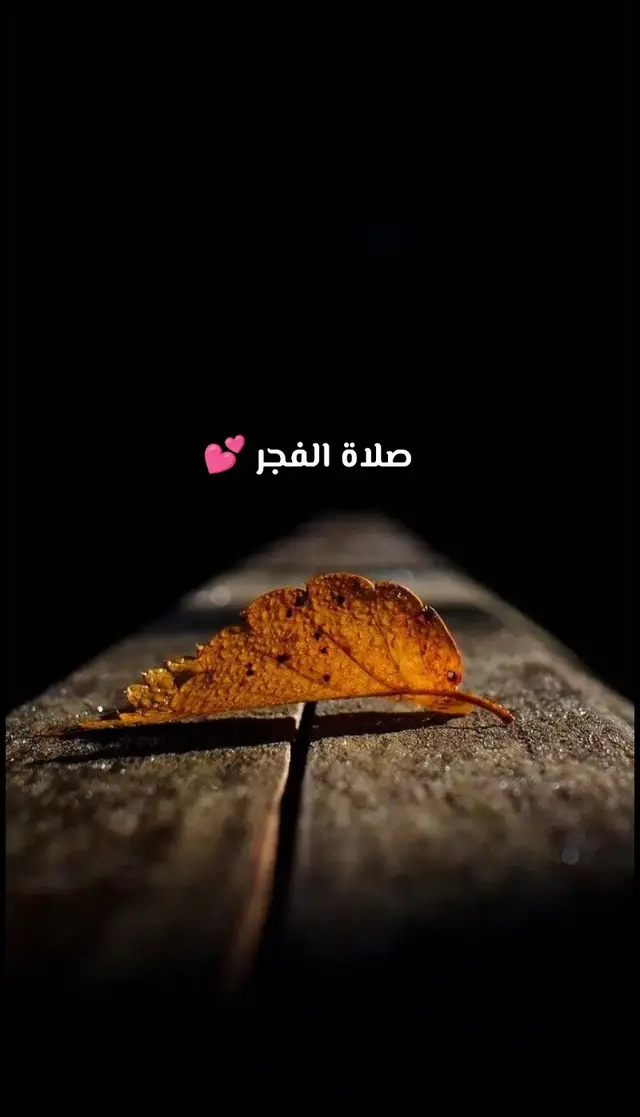 #صلاة_الفجر #موعظة_دينية_مؤثرة #فضل_صلاة_الفجر  #creatorsearchinsights #quran 