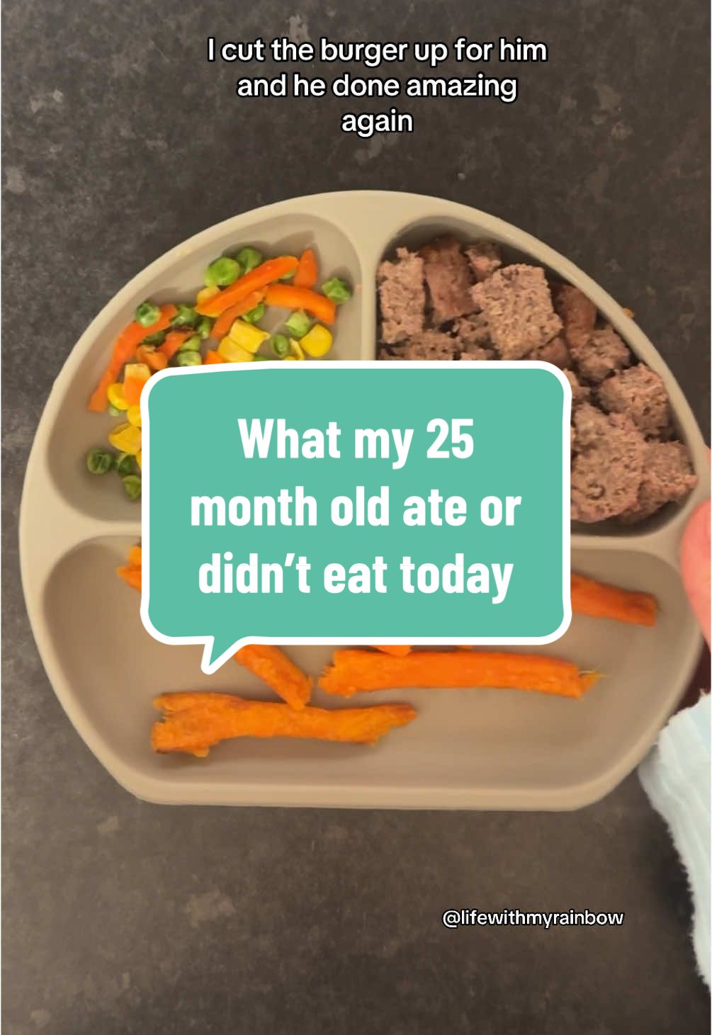 #whatmytoddlereats #whatmytoddlerate #toddlermeals #toddlermealideas #toddlerfood #toddlerbreakfast #toddlerlunch #toddlersnacks #toddlersnack #toddlerdinner #toddlerrecipes #recipesforkids #kidsrecipes #whatmykidseat #mealsforkids  #kidsmeals #foodfortoddlers #blw #blwideas #blwrecipes #pickyeater  Healthy Toddler Meals food for 1 yr old toddler food 1 Year Baby Food Ideas realistic what my toddler eats meals for kids Lunch Ideas For Toddlers  What My Kids Eat