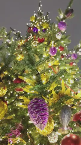 The 1st Annual JOY to THE TOWN - the FREE Oakland-style WINTER WONDERLAND is one week away! Don’t miss it Dec 13-15 at Broadway & 23rd (one block from Grand) in Uptown Oakland! ❄️ Celebrate the holidays with restaurant & bar holiday hops, a Holiday Pop-Up with an artisan market, holiday-themed public roller skating rink, Santa, live entertainment and more! 🎁 Joy to the Town 🗓 Dec 13-15 ❄️ Friday, December 13 | 4-9 pm Restaurant & Bar Holiday Hop at dozens of spots in Uptown, Downtown, and Northlake with special promotions, holiday treats, street performances, and a treasure hunt. ❄️ Saturday & Sunday, December 14 & 15 | 12-5 pm All-ages Holiday Pop-up with a holiday-themed @blackculturalzone roller skating rink, Santa and Daisy Claus at Broadway & 23rd (one block from Grand). Shop local makers and stores. Live entertainment by the @thetapdancingchristmastrees, holiday carolers, and more! With so much going on why not treat yourself to a holiday staycation at one of Oakland’s newest hotels – or visit a favorite mainstay? Learn more at our link in bio or joytothetown.com #JoytoTheTown Sponsored by @oaklandchamber with support from @wellsfargo, @block.xyz and @visitoakland. 🎥: @visitoakland  #oakland #eastbay #bayarea #sfbayarea #berkeley #norcal #sanfrancisco #wintertravel #bayareaevents #oaklandevents #california 