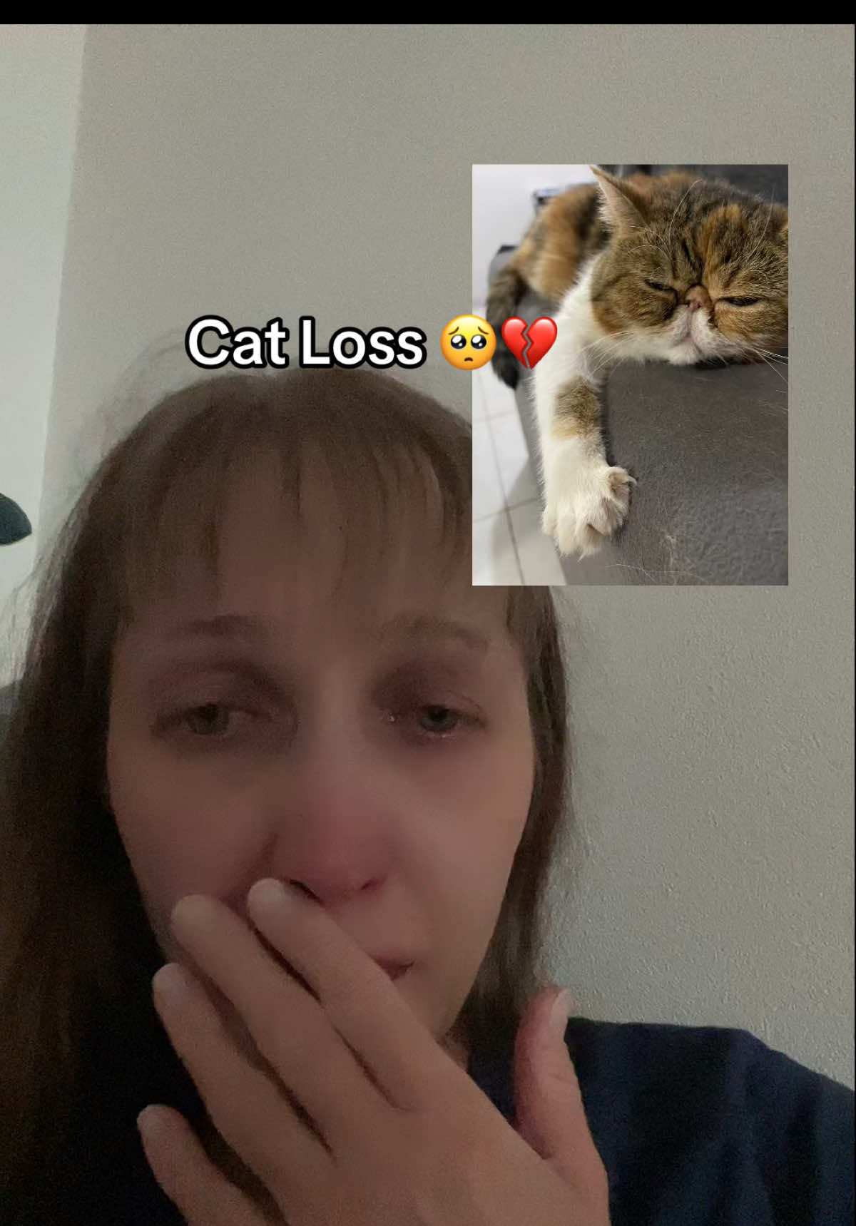 We miss you so much 🥺 Rest in peace our dear kitty 🐈💔 We will love you forever ❤️  #catlover #cattok #catloss #petloss #catsoftiktok 