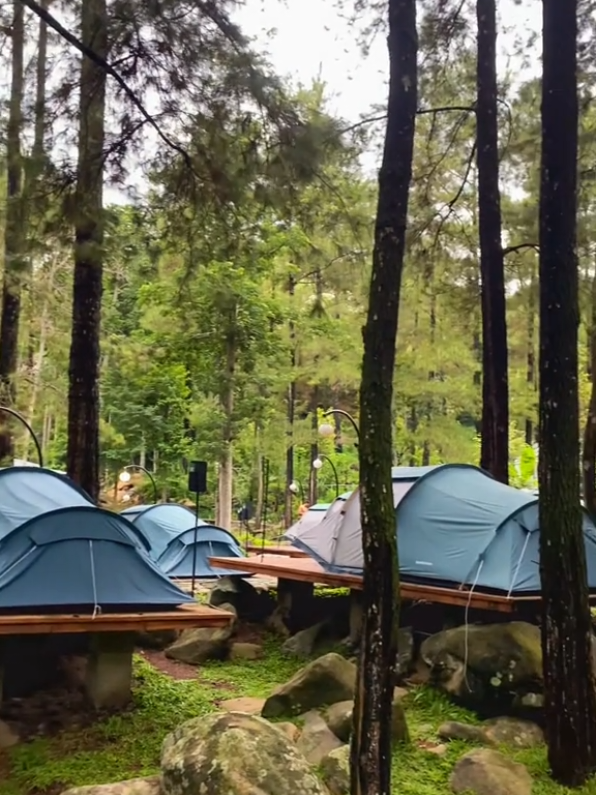 sedang menghindari hiruk pikuk kota 😅 #camping #glamping #forest #healing #nature #eastjava #campglamping 