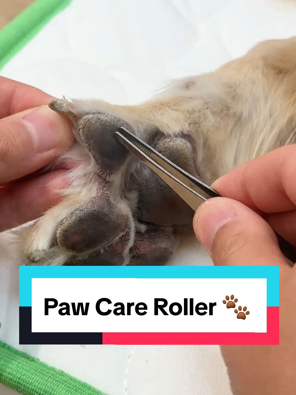 Paw Care Roller 🐾  #pawcare #dogproducts #dogsoftiktoks #dogs 