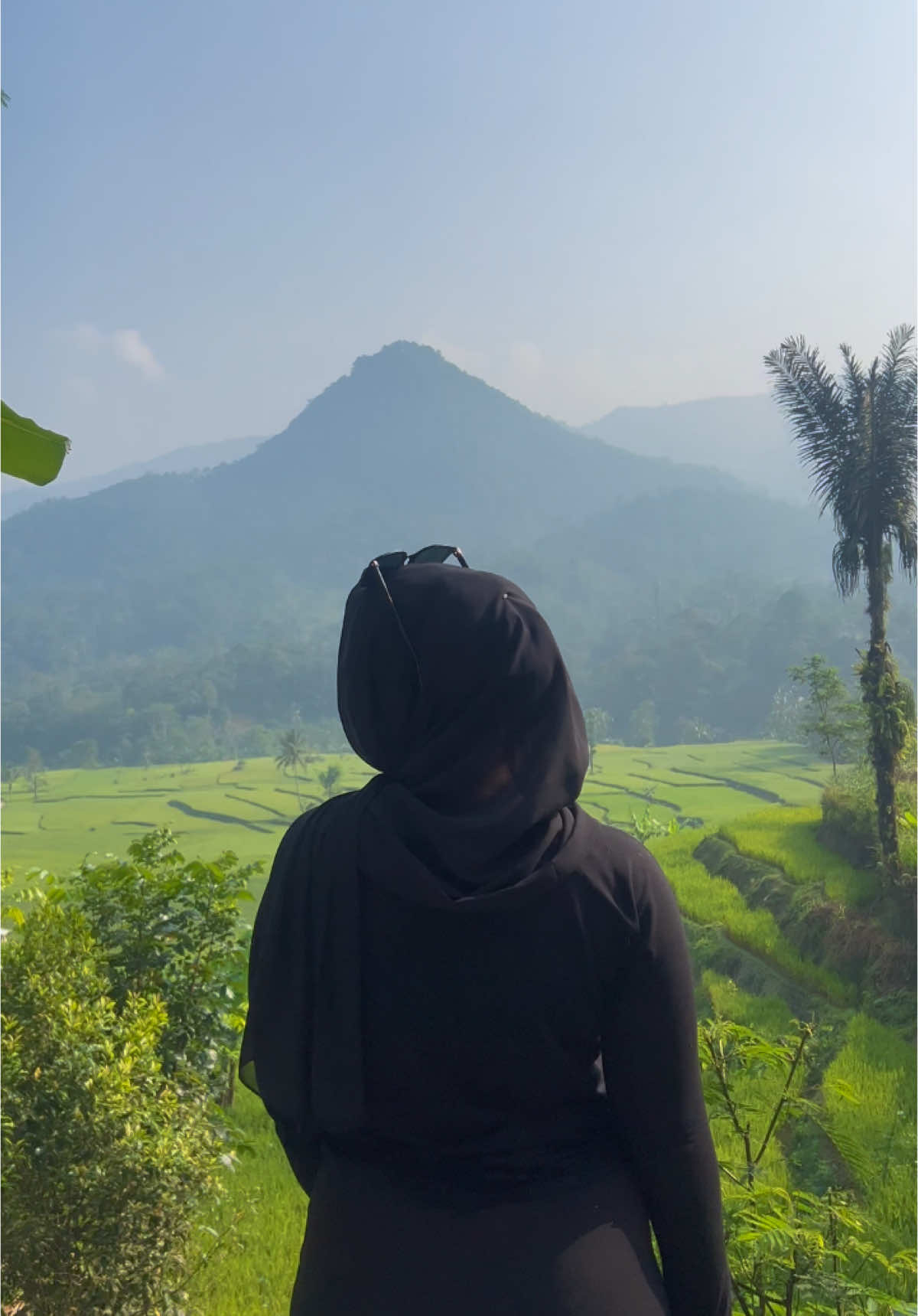 gays di lebak banten ada sawah secantik ini ternyata 🤏🏻 #lebak #lebakbanten #bantenhits #explore #fyp #foryou #blue 