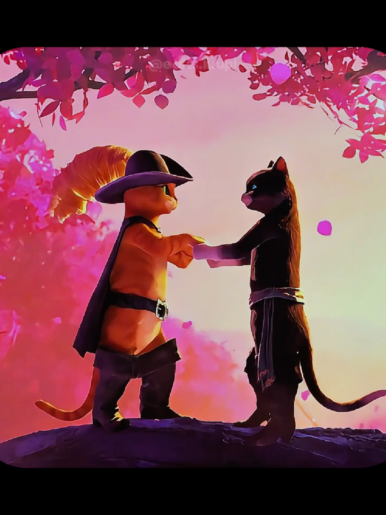 Gato de botas é um sentimento #gatodebotas2 #filme #casal #cenas #edit #kitty