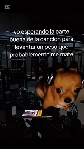 real 🗿 #gymrat #gymbros #Gym #motivaciongym #motivation #Motivacional #GymTok #Fitnes #paratii #powerlifting #Fitness #coleman #gymbros #gymrat #fouryou #parati #fyp 