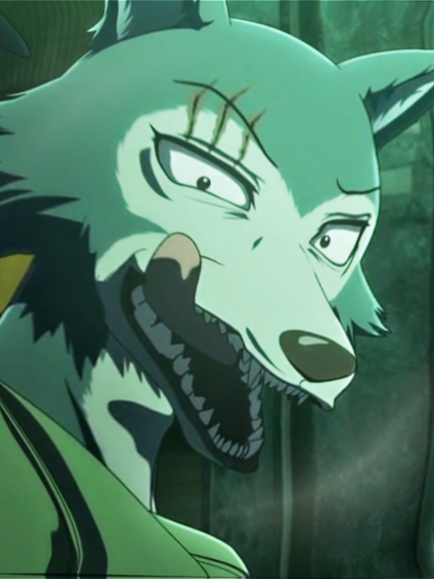 #LEGOSHI: Legoshi na nova temporada está FEROZ  - #beastars #aftereffectsedits #aftereffect #edits #fyp #hot #viral_video #legosi #legoshiedit #beastarsedit #beastars2 #beastars3 #netflixseries #animeedit #anime #legoshibeastars #legoshixlouis #legoshixharu #beastarscosplay #beastarsanime #animeedit #editaudio #baddass