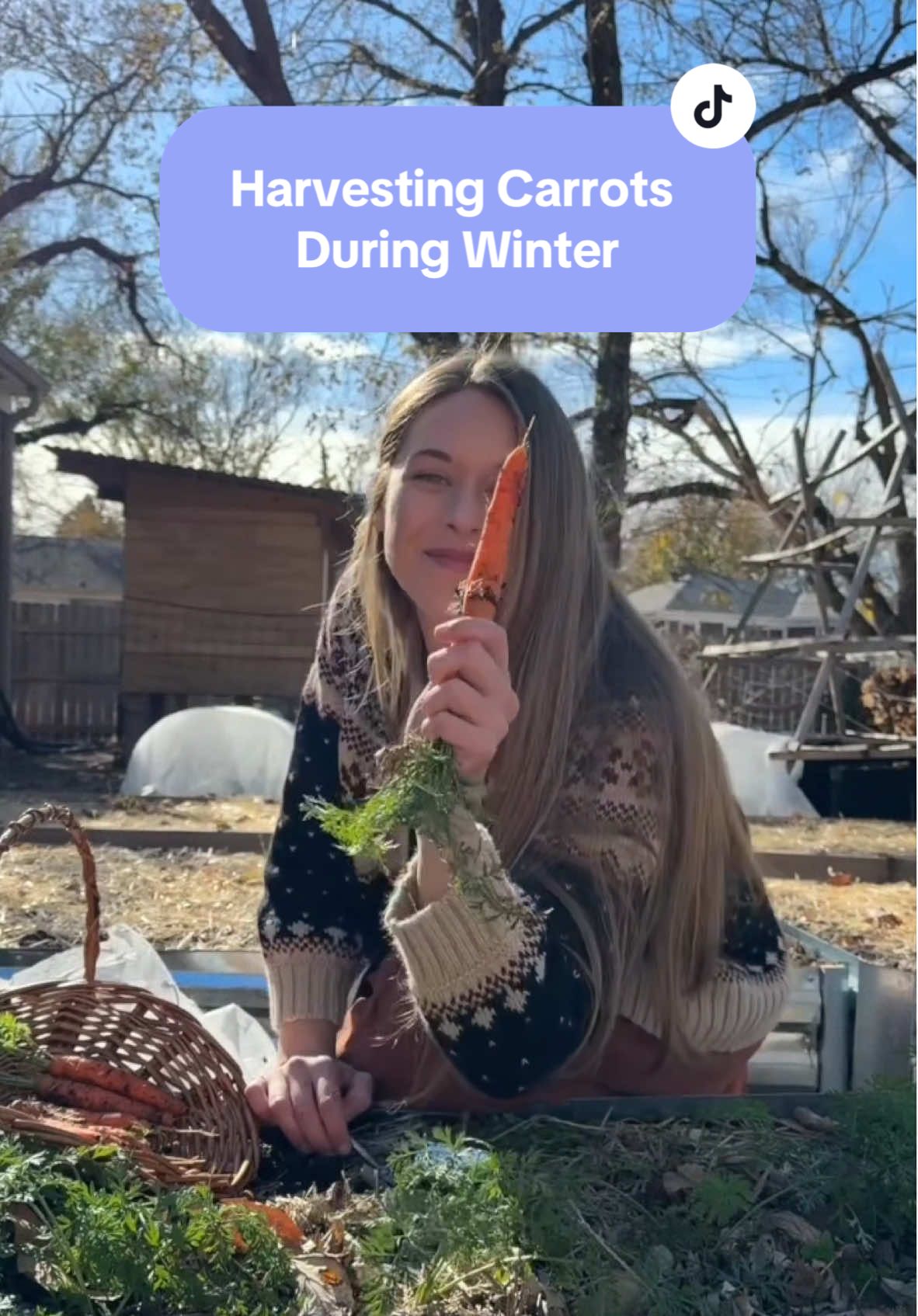 Truly nothing like winter carrots!!! I also love hsing homegrown luffa to scrub mg root vegetables!! This carrot cake turned out amazing! I used Preppy Kitchens Recipe! #carrots #homegrown #homegrownfood #winterharvest #backyardhomestead #backyardgarden #carrotcake 