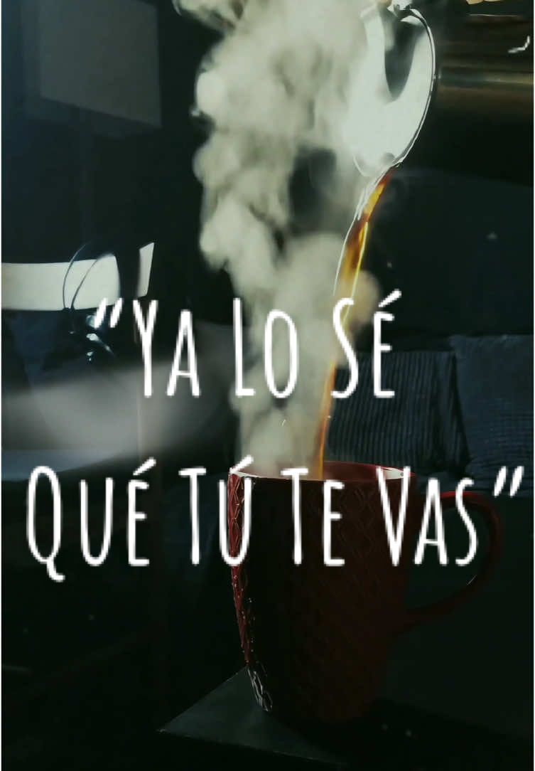 “Ya Lo Sé Que Tú Te Vas” ☕️ 🌌 🎙️ 🎬🎵 Juan Gabriel🎙️ #elcafedelugo #utécafetió #táncolándo #melómanocafetero #uncaféconmúsica