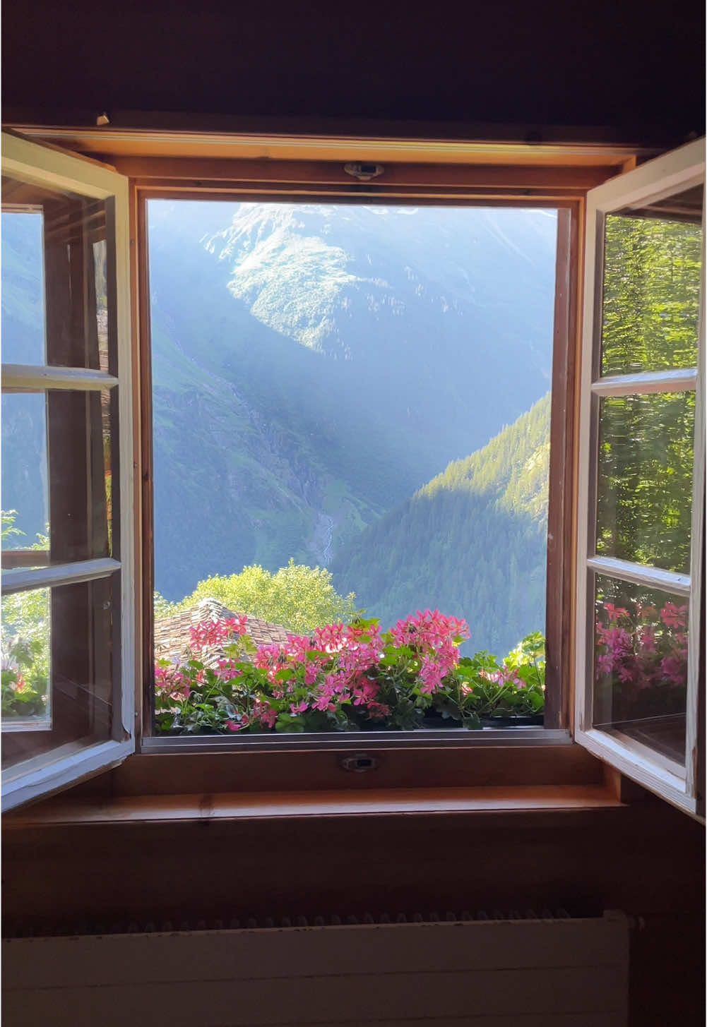 View from my hostel this summer 🇨🇭🌷🌻🐄 #switzerland #mountains #hostellife #Hiking #solotravel #traveltok #swissalps #travel #cows 