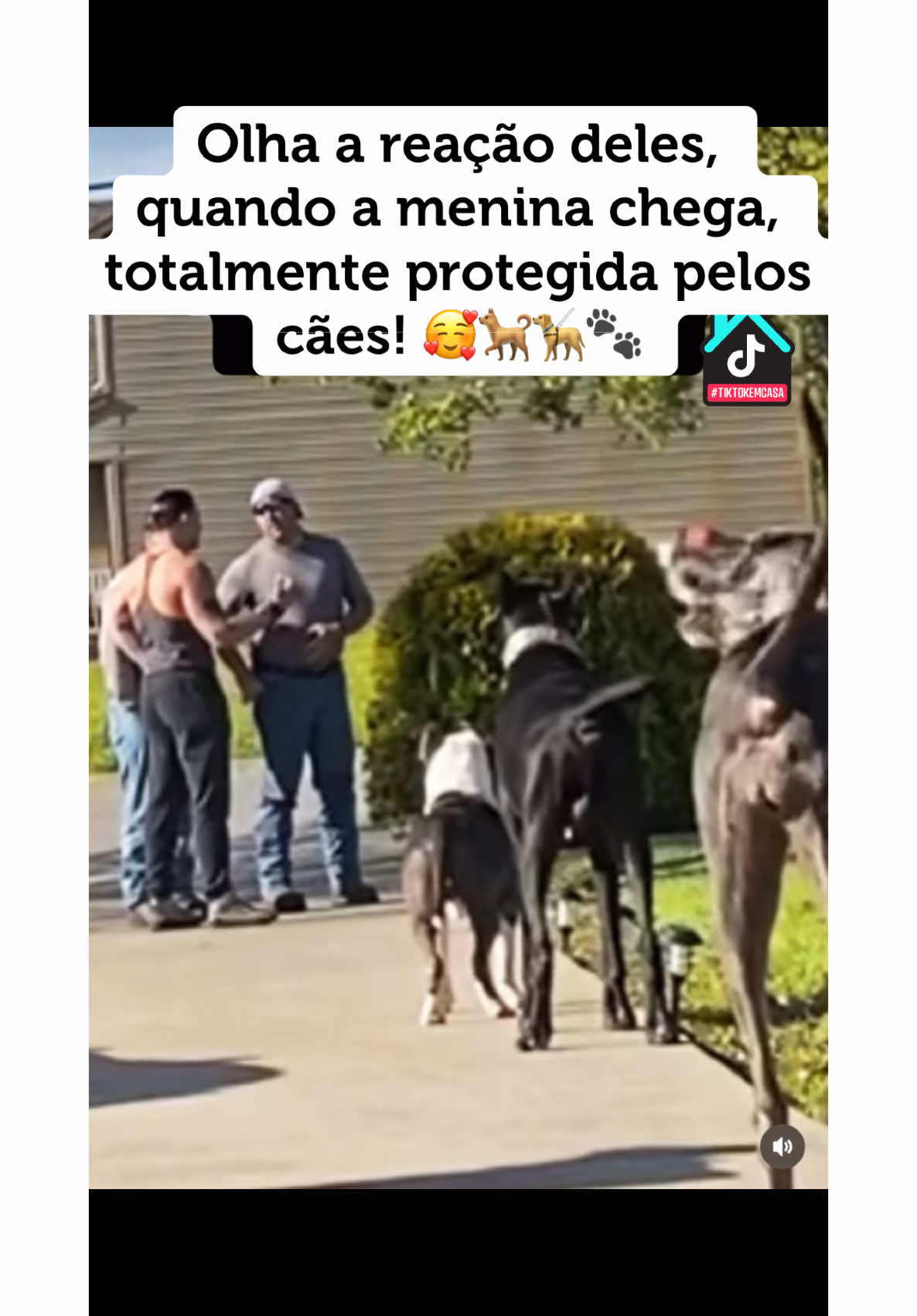 #tiktokemcasa #dog#protecaoanimal #protecao#pastoralemao #canecorso #pitbull #criança#vaiprafy #fyppage #animaisnotiktok #vaiprofy #videos 