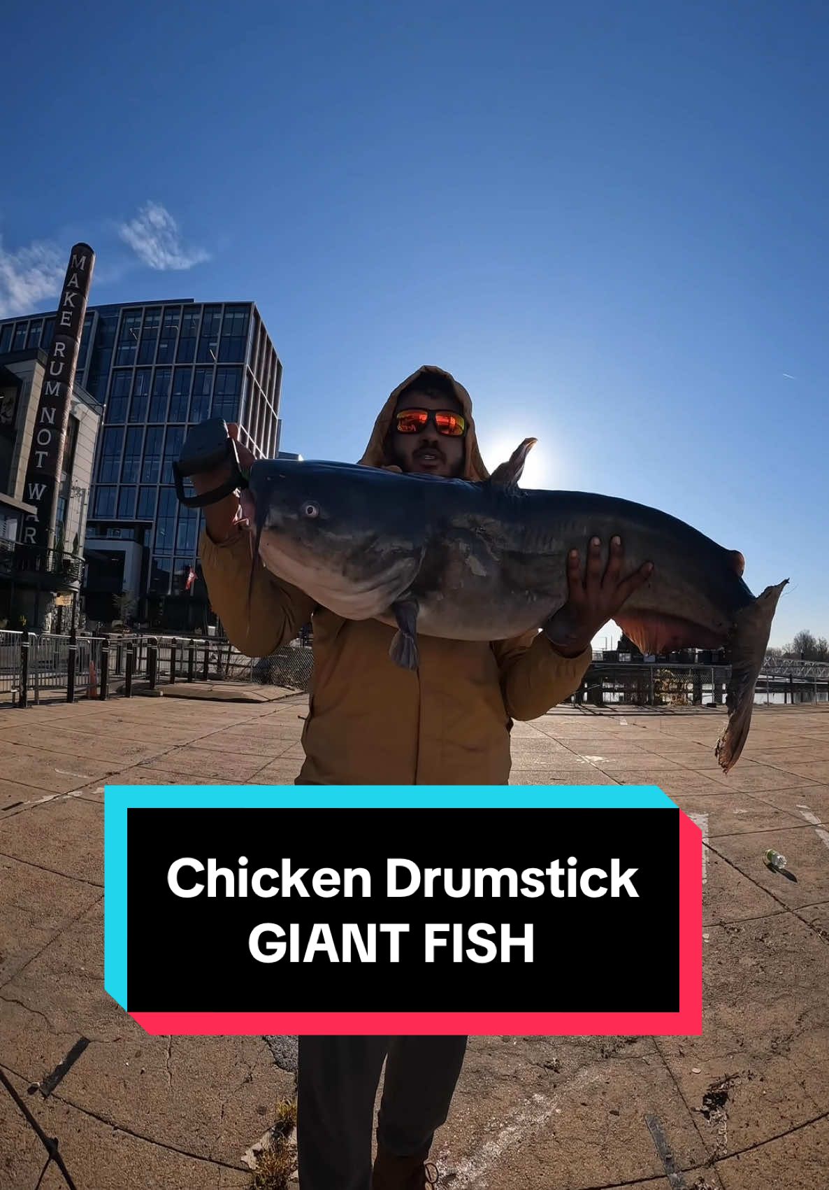 Can a Chicken Drumstick Catch a BIG Fish?