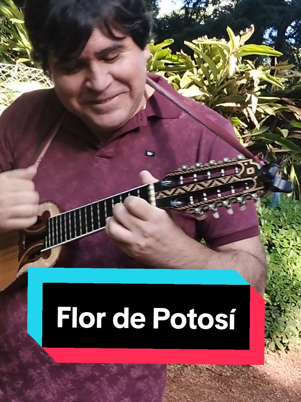 si querés aprender a tocar charango contáctame. . . . #clases #clasesdecharango #tutoriales #folkloreboliviano #charangoboliviano #bolivianosporelmundo #kjarkas #musicaenvivo #charangolatinoamericano #bolivianosenbrasil🇧🇴🇧🇷 #flor #potosi #potosinos #boliviatiktok #viralvideos #cultura #charangoargentino #boliviano 