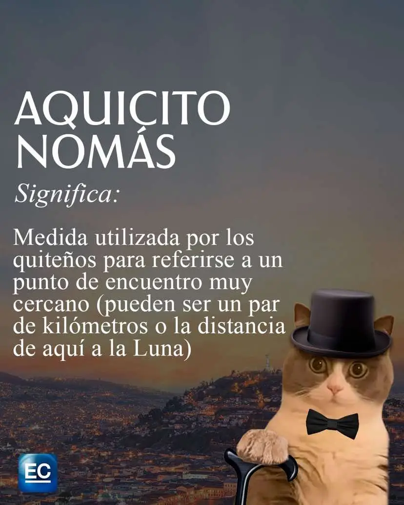 ¿Qué otros quiteñismos le sumas a este diccionario? 📕😅✍️ ❤️ ¡A #Quito la hace única su gente... y su modo de hablar! 🥳 ¡VIVA QUITO!