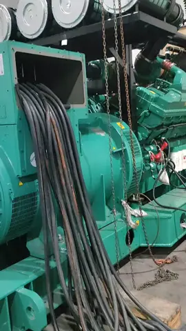 timing kuda 😂 #fypシ #genset #powergeneration #qsk60 #qsk60cummins #cumminspower💪 #cumminsengines #cumminspowernation 
