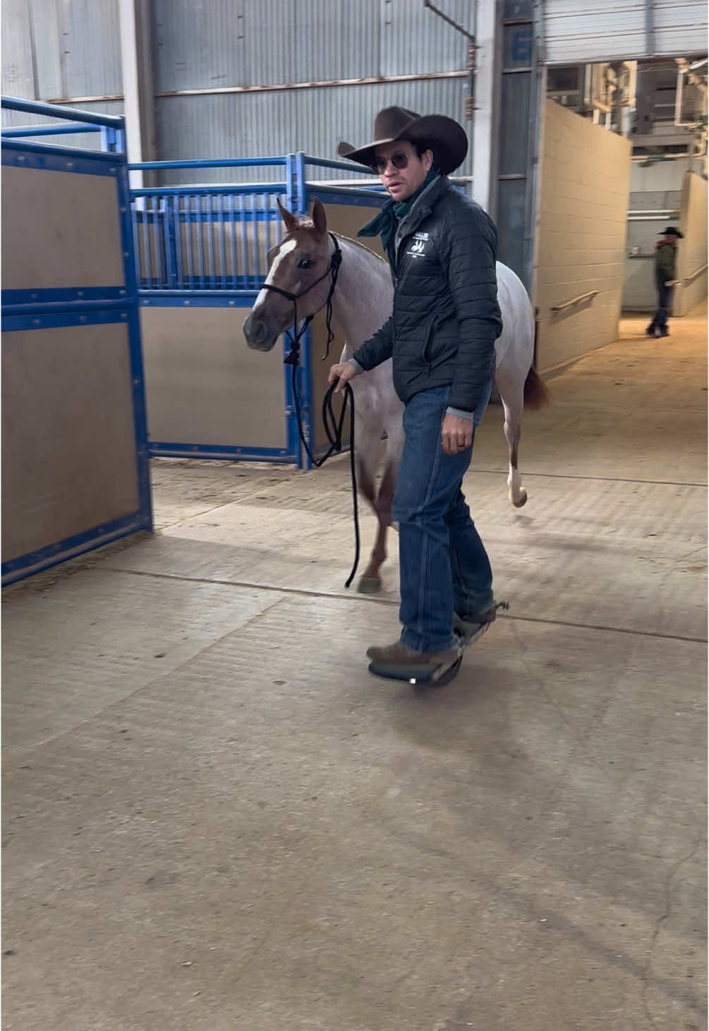 How do you pick up your sale purchase? @Western Bloodstock, LTD #cuttinghorse #metalliccat #texas