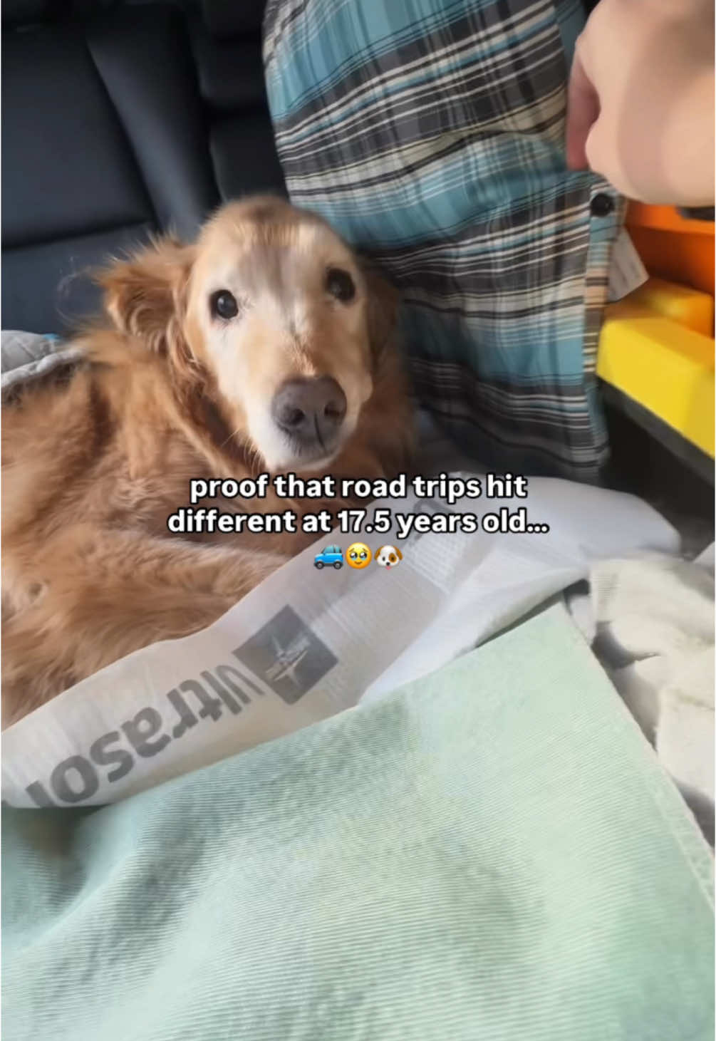 17.5 years old, and Jake still has the ultimate road-trip vibes 🐾💤 being a senior means he’s got the backseat nap routine perfected. with miles of road and snacks on demand, this boy is living the retirement dream on four wheels across the nation and living life on do not disturb mode 😮‍💨🚙💨 It’s the little things like watching him snooze in the sun, that make every road trip feel extra special💛 does your dog love road trips, or are they more of a stay-at-home kind of pup? 🐕✨ #seniordog #roadtripdogs #adventuredog #dogmomlife #dogoftheday #seniordogsoftiktok #17yearolddog #dogtravels #dogsoftiktok #cutedog #jaketheretriever #doglover #dogmom #olddogs