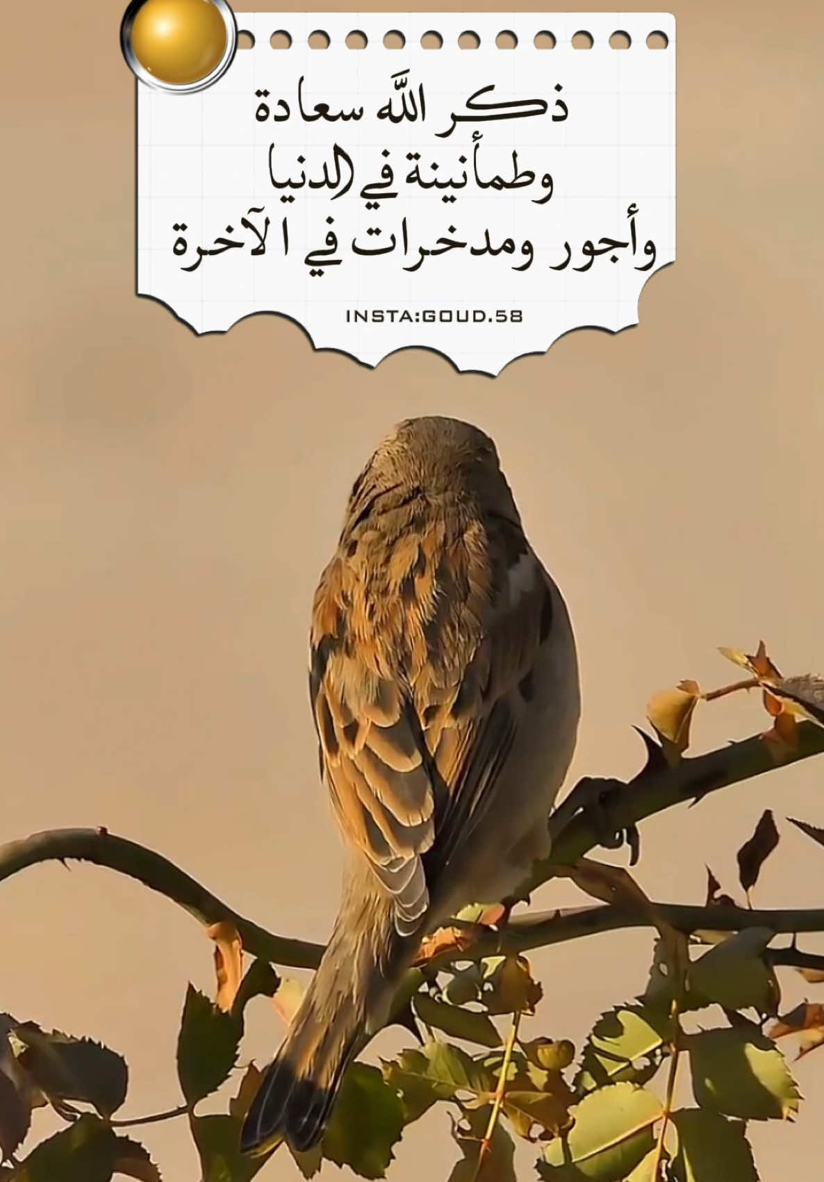 #دعاء #fypシ #يارب #photography #اكسبلورexplore❥🕊 #تصميم #صور #قرآن #فيديوات #مساء_الخير #دعاء_جميل #قرآن_كريم #سبحان #سبحان_الله_وبحمده_سبحان_الله_العظيم #دعاء_الصباح #أدعية #اذكروا_الله #مكة #صباح_الخير #دعاء #دعاء_الصباح 