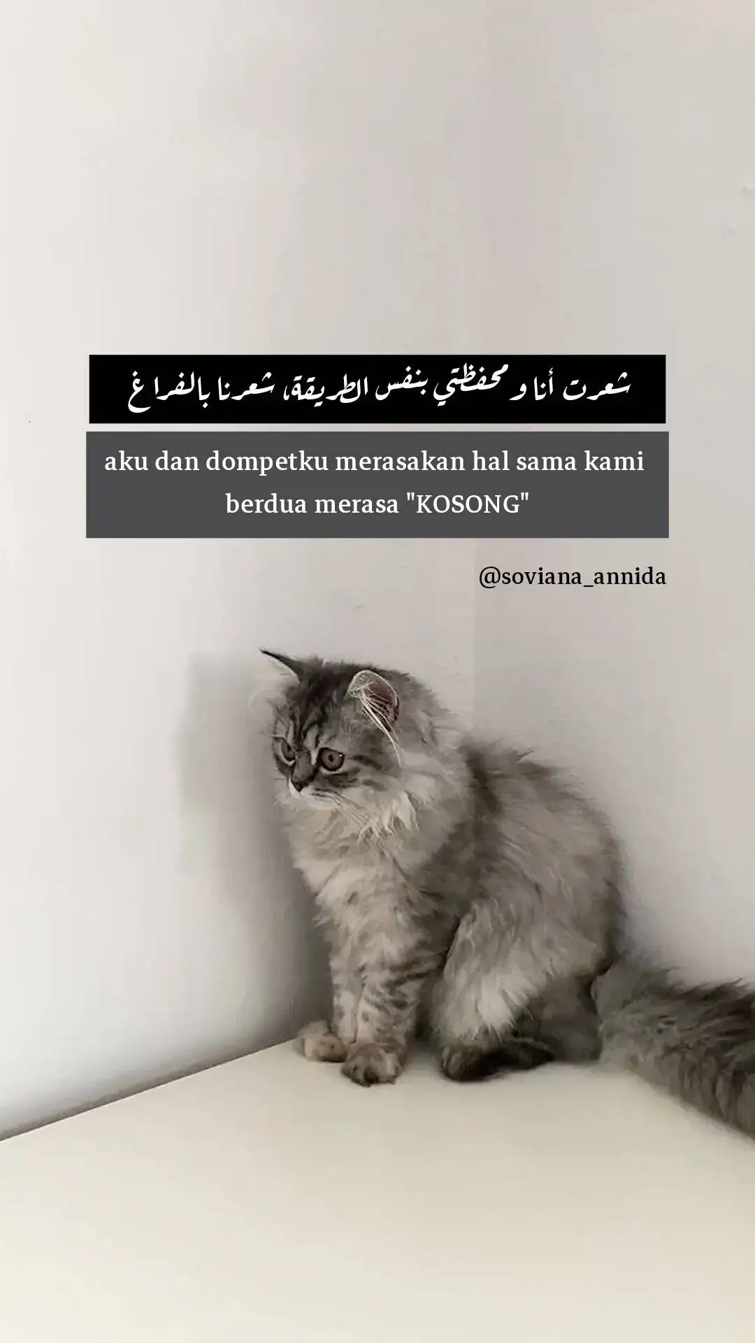 #quotestory #arabicsong #quotearabic #syaircintaarab #masuk #syairarab #quoteislami 