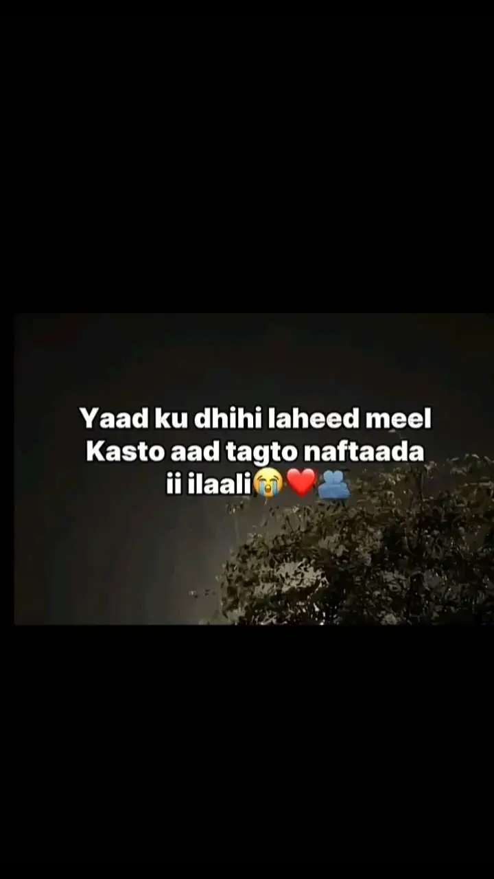 #pCut❤️‍ #😭💔 #fypシ゚viral🖤tiktok☆♡🦋myvideo #Moha🥺❤️ #jaceyl #fyp #fypシ゚viral🖤tiktok #vp 