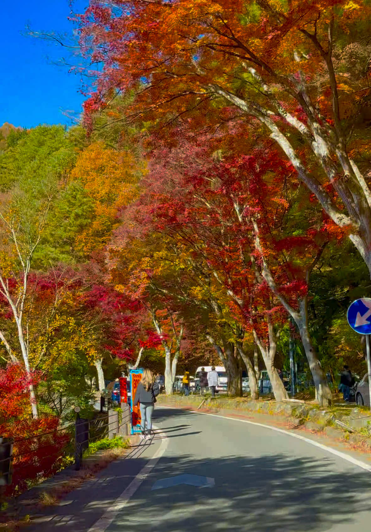 #kawaguchiko #河口湖 #autumn #秋#momiji #tunnel #もみじ #紅葉 #japan #ドライブ #河口湖紅葉 #アニメ #虹 #relaxmejapan #trend #nijisanji #viraltiktok #fujiviral