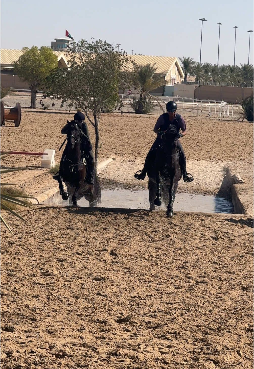 Cross Country Training  ‎‏horses #ridingschool #horseriding #equestrains #training #horse #equine #اسطبلات #اسطبلات #خيل_وخياله🐎 #خيل_فروسيه_حب #تدريب #مسابقة_خيول #مسابقة_خيول #ركوب_الخيل #طلعة_بر #طلعة_بر #فروسية #اسطبل_الوفا #مسابقة_قفز_الحواجز #قفز_حواجز #الشيخه_شمه_بنت_حمدان_بن_راشد_آل_مكتوم