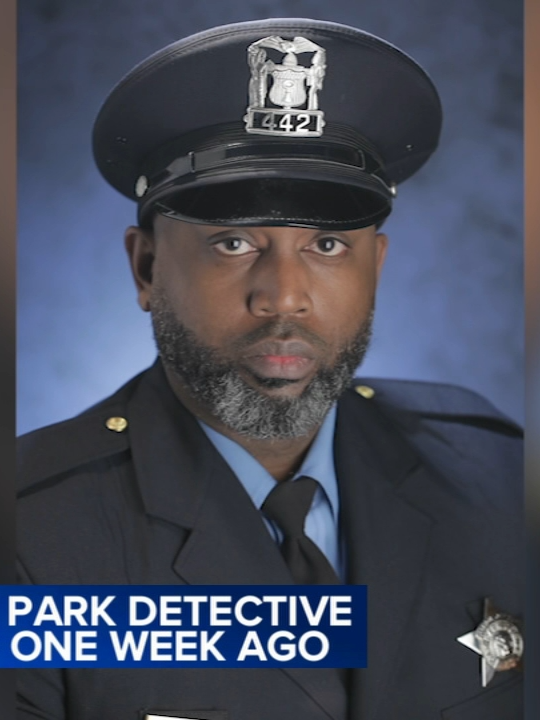 A somber setting was cast in shadows while lit candles illuminated a community's grief Friday evening at a vigil to remember Oak Park Police Detective Allan Reddins. Chicago man Jerell Thomas is accused in last week's fatal shooting. #news #chicagonews #oakpark