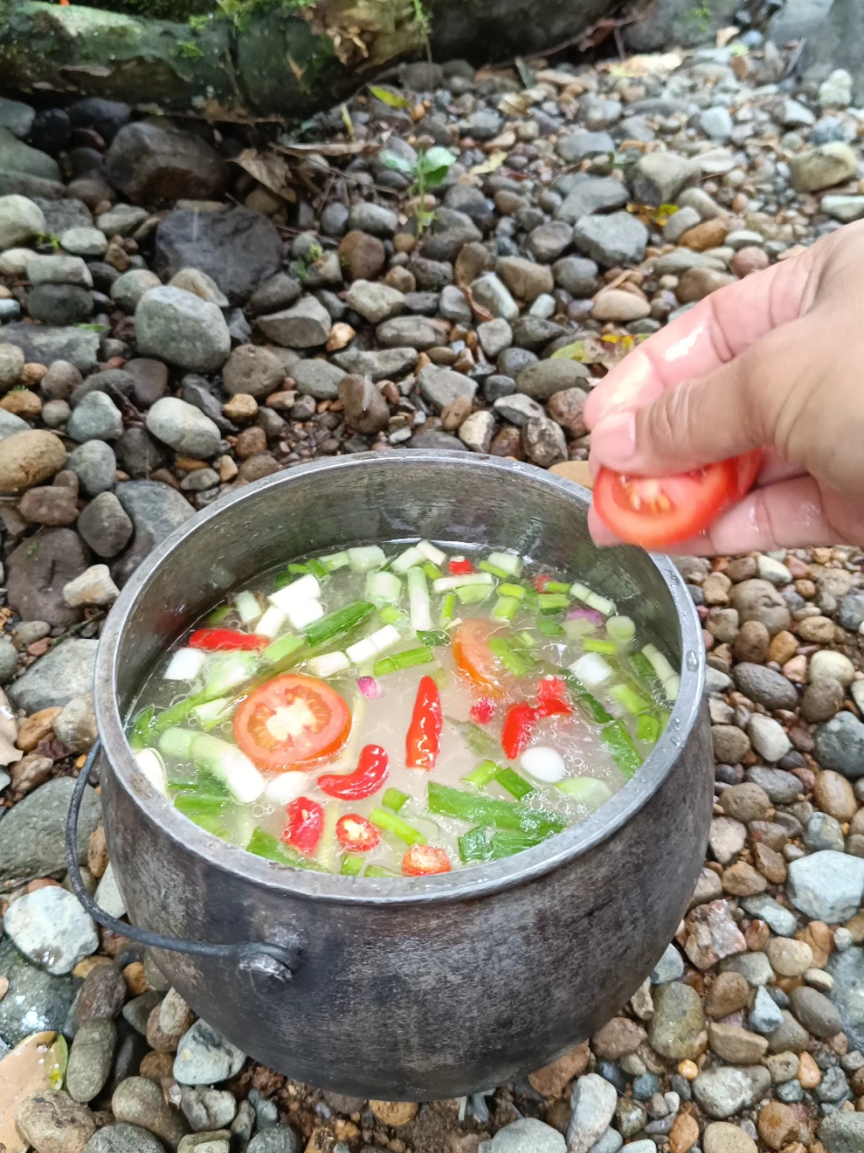 ngaliwet wa #airgunung #mataair #gunung #traditionalfood #orangkampung #orangdesa #pedesaan #kampung #kampunghalaman #suasanadesa #jawabarat #ciamis #kawali #lemahcai #bolang #suasanakampung #pesawahan #sungai #liwetsunda #liwet 