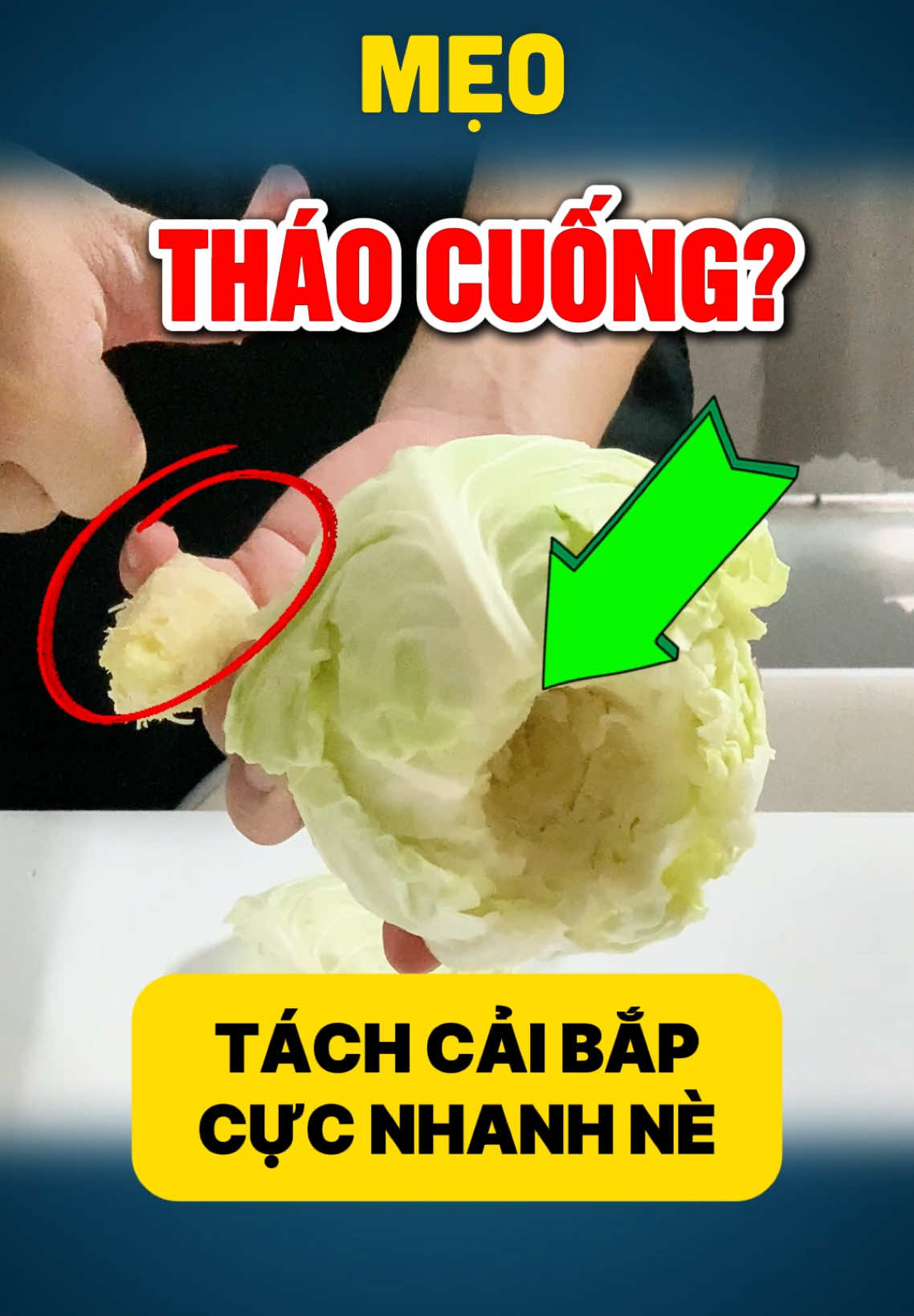 #mẹovặt 655 | | Mẹo tách cải bắp cực nhanh không cần cắt | how to separate cabbage #caibap #bapcai - [ ] #tips #DIY #lifehacks #meovat #meohay #meovatcuocsong #huongdan #cachlam #meo