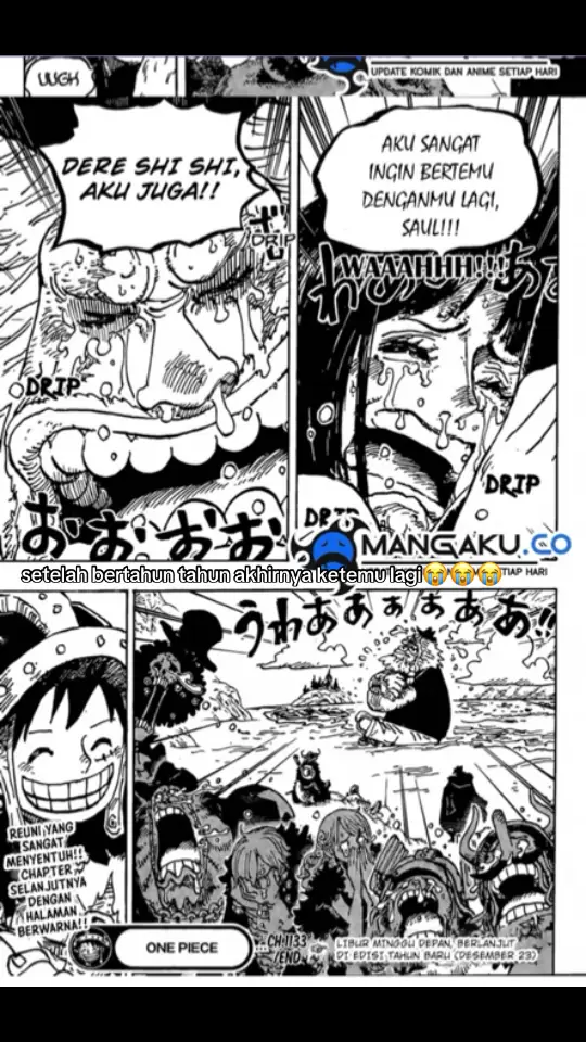 akhirnya robin ketemu saul lagi 😭🥹🥹 #onepiece1133 #fyp #robin #saul 