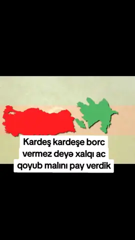 Azərbaycan xalqı mərd xalqdır, dost türk xalqına həmişə dəstək olub 