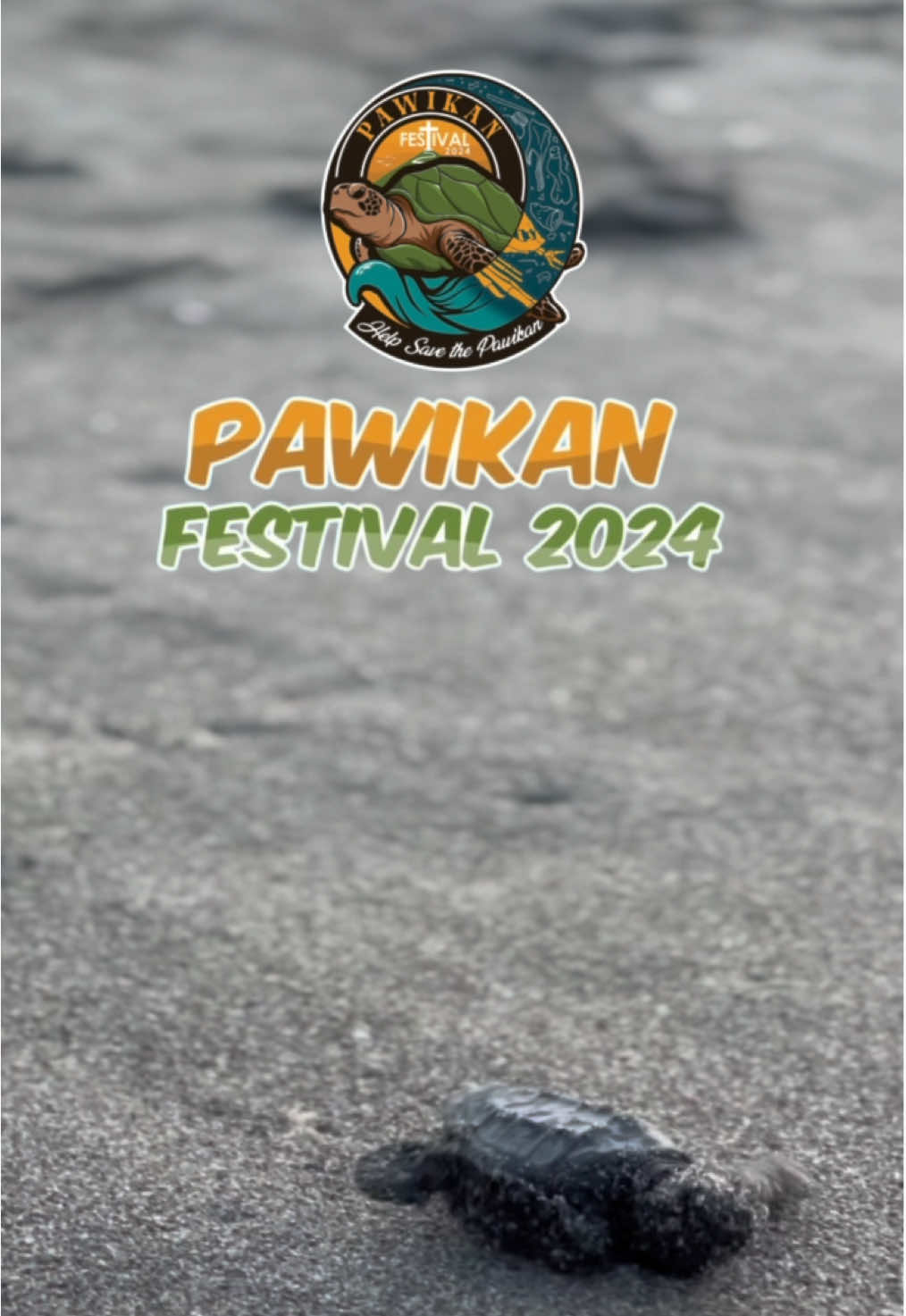 DILG Bataan proudly joins the 𝗣𝗮𝘄𝗶𝗸𝗮𝗻 𝗙𝗲𝘀𝘁𝗶𝘃𝗮𝗹 𝟮𝟬𝟮𝟰 at the Pawikan Conservation Center, Brgy. Nagbalayong, Morong, Bataan on December 7, 2024. Together, we proved that we can be true 𝘬𝘢𝘣𝘢𝘭𝘪𝘬𝘢𝘵 in caring and protecting our marine turtles! 🐢💚 #SulongMorong #1Bataan #HelpSaveThePawikan
