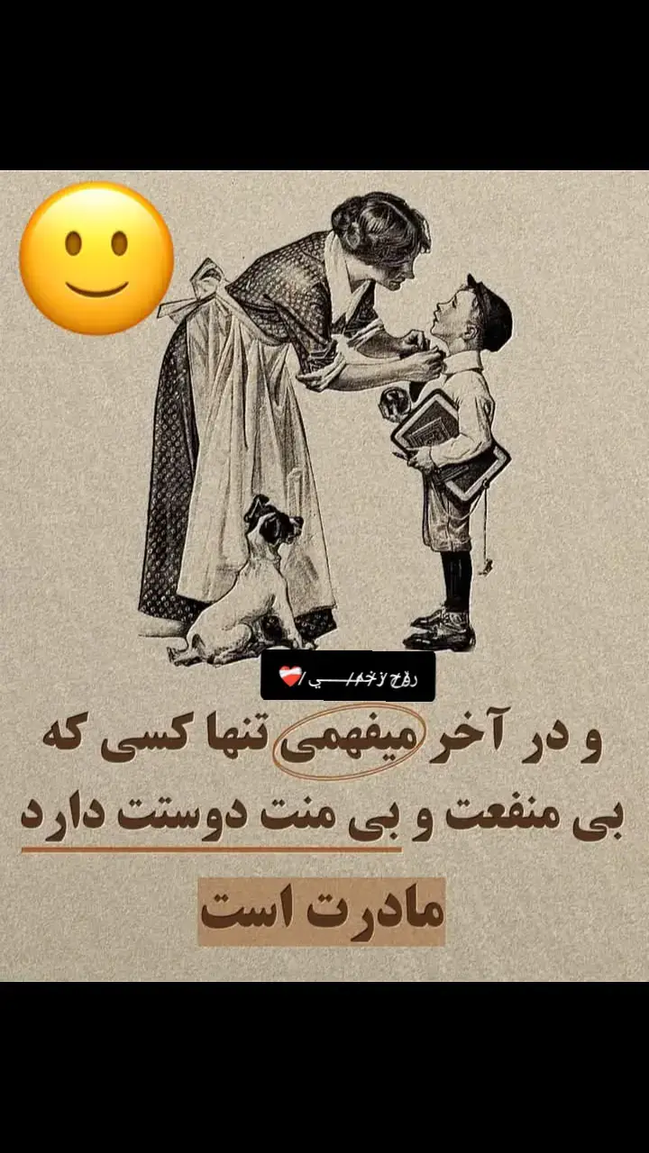 #vidyou #foruyour #viral #🇦🇫🇩🇪 #تاجک__اوزبگ__پشتون__هزاره__ترکمن 