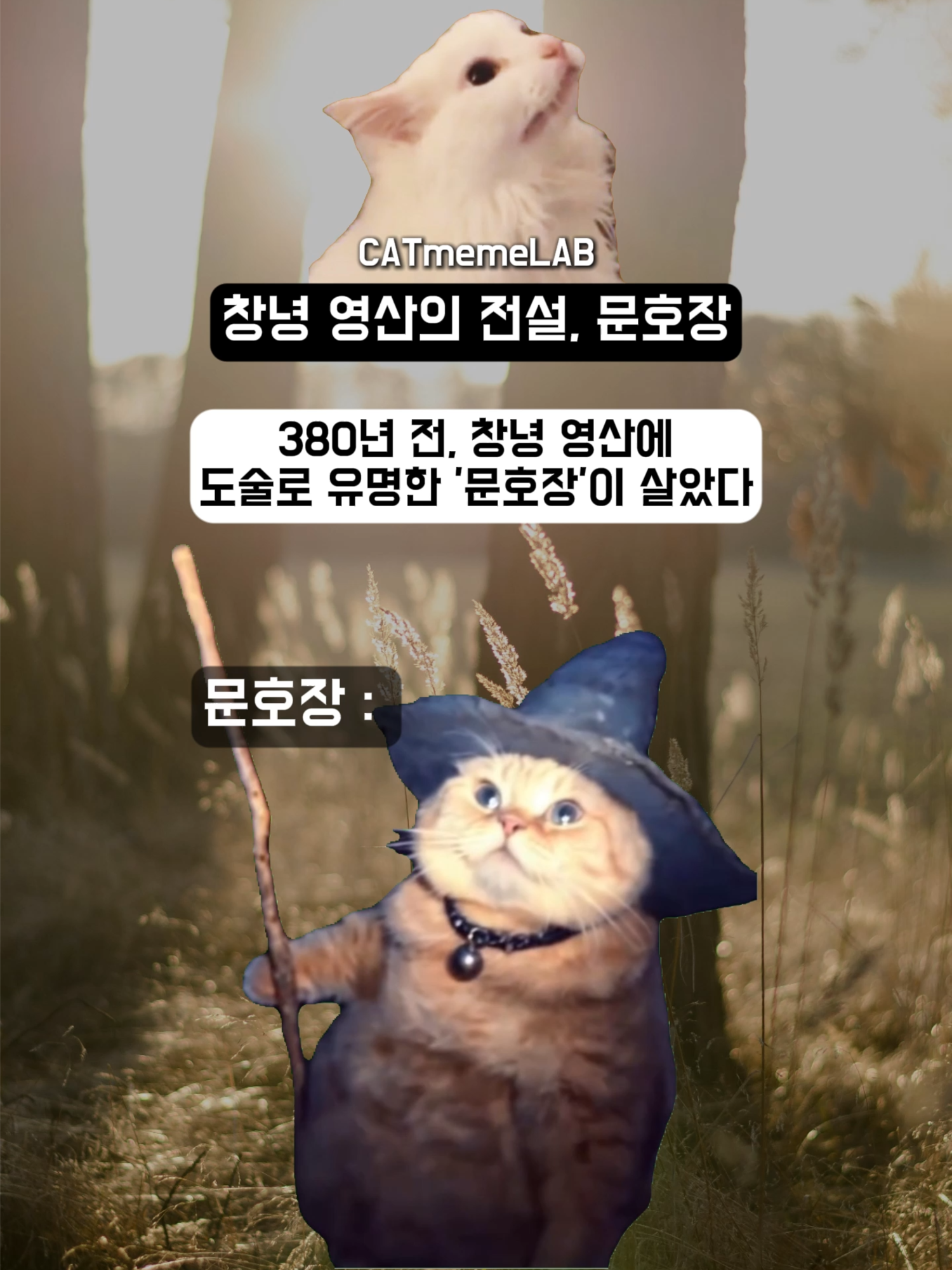 창녕 영산의 전설, 문호장 #고양이 #고양이밈