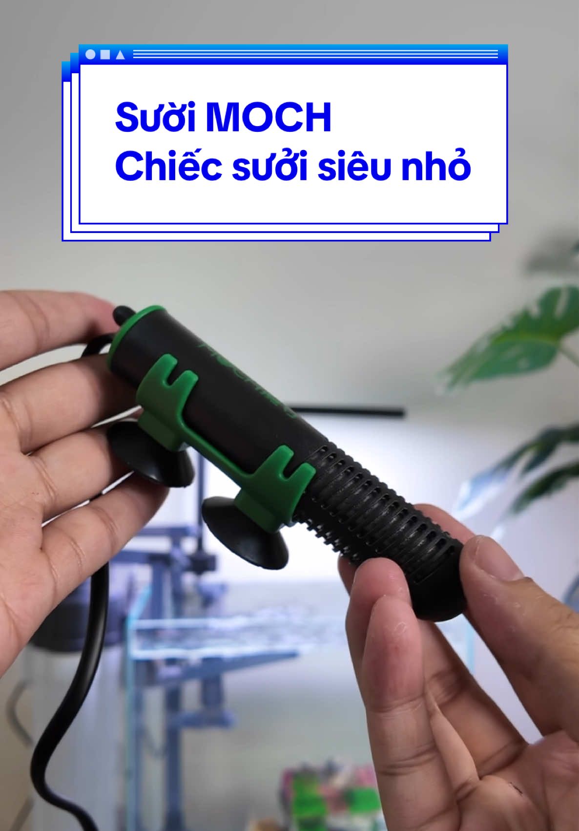 Sưởi MOCH chiếc sưởi siêu nhỏ cho bể cá mini để bàn #thuysinh #cacanh #suoibeca #thuysinh4u 