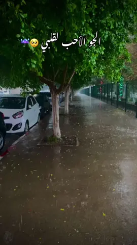 الجو الاحب لقلبي 🥹☔️#مطر #هذاجوي #تصويري #pourtoi #tiktokviral #اكسلبور #reels #vu #امطار #غيوم #شتاء #شلفاوة_والحلاوة🔥 #chlef #algerie🇩🇿 #الشعب_الصيني_ماله_حل😂😂 