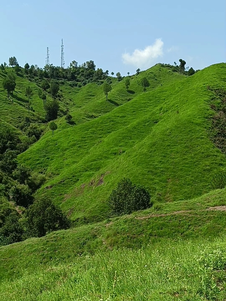 عطااللہ شاہ بخاری #ماشاءاللّٰه_سبحان_اللّٰه_💖 #fyp #abbottabad #qalanderabad #natural #beauty #pakistan #sawat #trending #foryou #dxb #travel #switzerland #deartiktokteam #plzunfrezemyaccount 