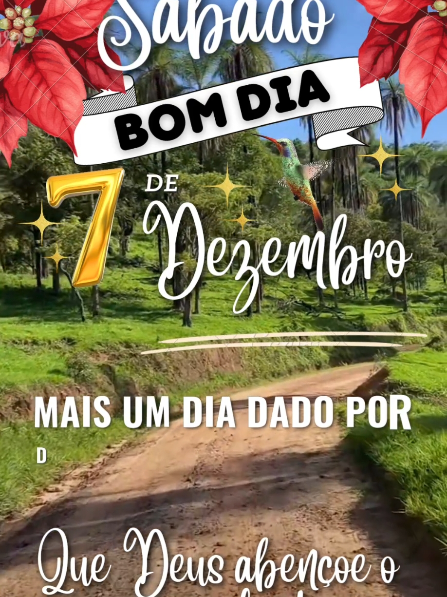 BOM DIA ✨🙏🏻  SÁBADO ✨🙏🏻 DIA ABENÇOADO ✨🙏🏻🙌🏻 .............      #bomdia #status #fe #gospel #cafe #amor #amigos #familia #pravoce #mensagem #reflexaododia #dezembro #2024 #natal #amigos #comentario #videos #FY 