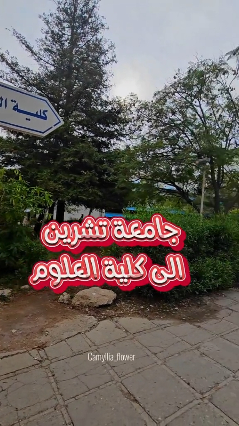 اثبت وجودك ب اسم كليتك 🤩 #جولة ب #جامعة_تشرين#في هذا اليوم  😍 